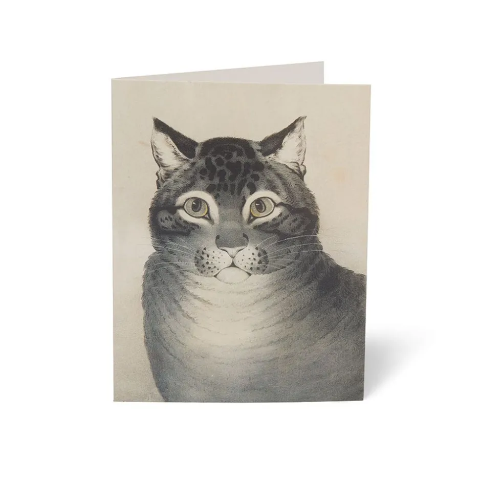 The Met Store Notecards & Correspondence*Cats of The Met Notecards