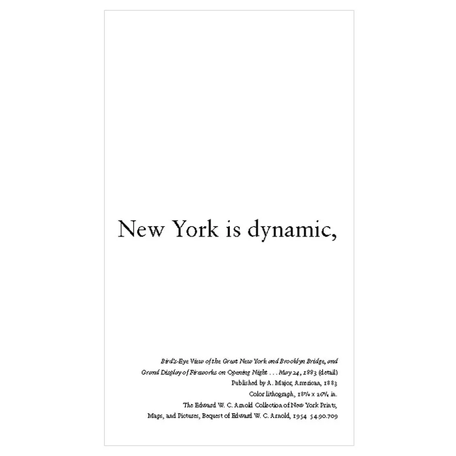 The Met Store Met Publications*NEW YORK IS...