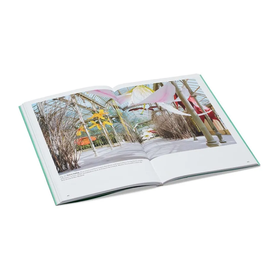 The Met Store Met Publications|Exhibition Catalogues*The Roof Garden Commission: Petrit Halilaj, Abetare