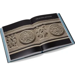 The Met Store Met Publications|Exhibition Catalogues*Tree & Serpent: Early Buddhist Art in India